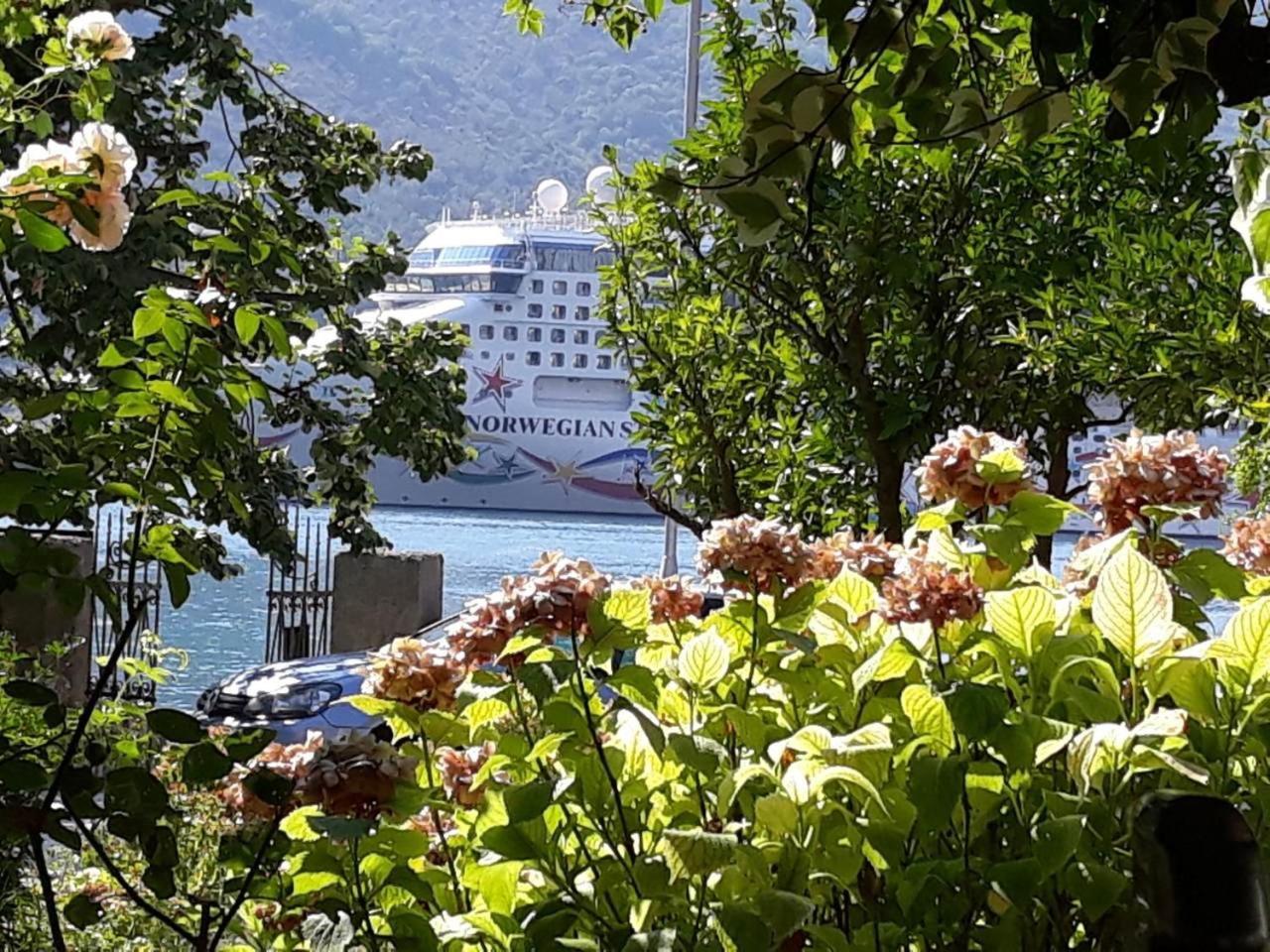 Apartments Vido Kotor Buitenkant foto